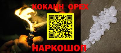 крисы Кунгур
