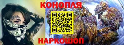 крисы Кунгур