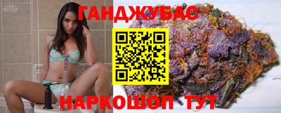 крисы Кунгур