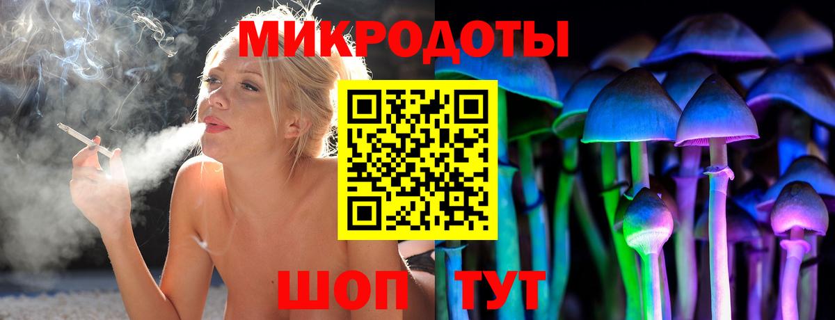 Псилоцибиновые грибы Psilocybine cubensis Димитровград