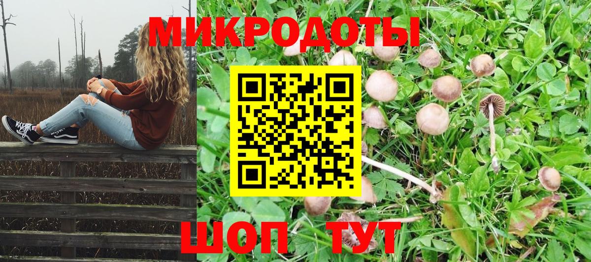 Галлюциногенные грибы мицелий  Вход с VPN  Димитровград  Псилоцибиновые грибы Psilocybine cubensis 